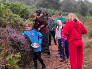 Children collecting bilberries Tarras Valley Nature Reserve, gathering them for a bushcraft session